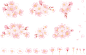 水彩日式樱花Sakura花朵分割线边框花圈AI矢量印刷平面海报素材 (18)