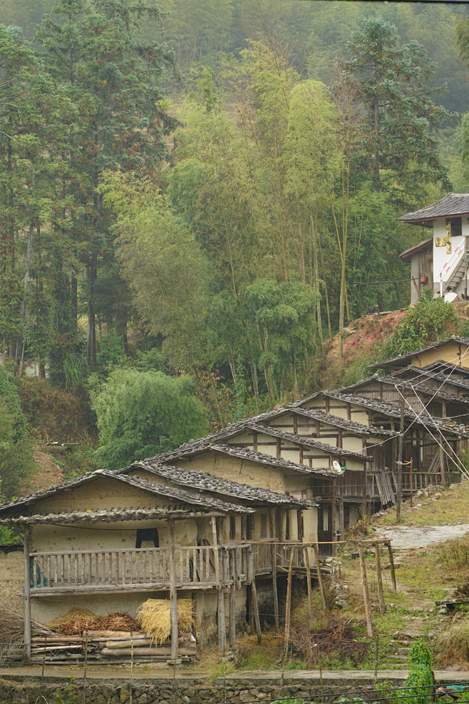 福建戴云山