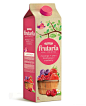 Frutaria高级果汁概念包装