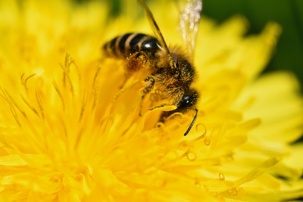 45baf67da648479c9a30de9a9505eff22bb58fc8168ce-u9rmrc