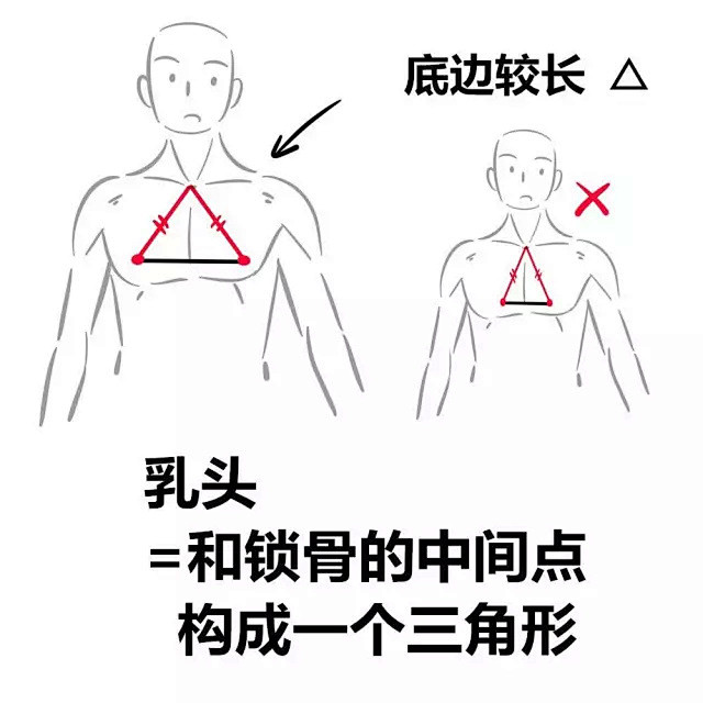 【新手教程】第13期：关于胸部、三角肌的...