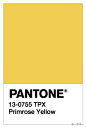 《Pantone 2017春夏十大流行色》，颜色排行：1.Niagara（尼加拉蓝）2.Primrose Yellow（樱草黄）3.Lapis Blue（青金石蓝） 4.Flame（火焰红）5.Island Paradise（岛屿天堂蓝）6.Pale Dogwood（淡山茱萸粉）7.Greenery（草木绿）8.Pink Yarrow（蓍草粉红）9.Kale（羽衣甘蓝绿）10.Hazelnut（臻果褐）