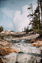 Water, hillside, tree and forest HD photo by James Fitzgerald (@reallygoodjames) on Unsplash : Download this photo in Yellowstone National Park, United States by James Fitzgerald (@reallygoodjames)