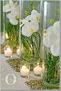 ✦⊱✯⊰✦orchid centerpiece✦⊱✯⊰✦  _710762695_3826394968