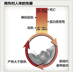 Yeagle采集到医学