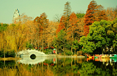 ™旅遊點滴╮采集到AA3.安徽 - 安庆 - 菱湖风景区