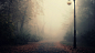 autumn fog lamps leaves paths wallpaper (#2462737) / Wallbase.cc