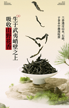 JimmyTing采集到茶类