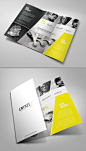 Unique Tri-Fold Brochure | Layout #排版# #设计#