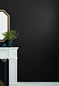 Clare | Interior Paint | Blackest