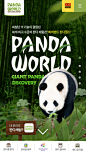 PANDAWORLD