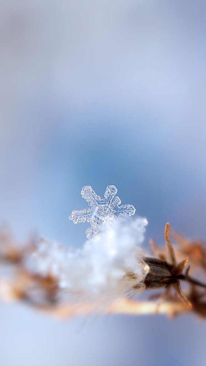 雪花