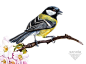 Birds : watercolor 
