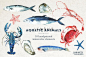 可爱卡通深海洋生物动物鱼类虾蟹钓鱼儿童插画图片设计素材PNG332-淘宝网