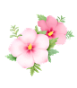 春夏天手绘鲜花花卉免抠__PNG：