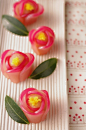 NIPPON / 日本 / 八重椿 Yae-tsubaki - Double flowered Japanese camellia #赏味期限 #