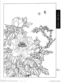 花精萍采集到白描人物及其他