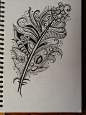 Zentangle feathers | Flickr - Photo Sharing!
