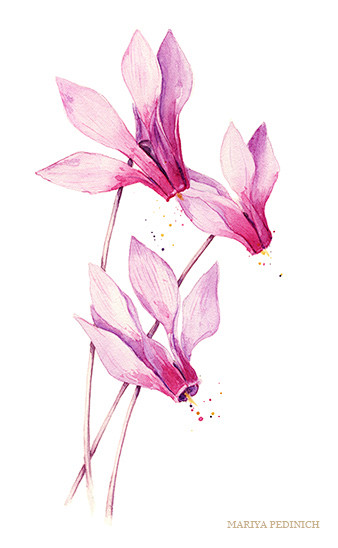 Watercolor Botanical...