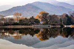 鱼叽采集到风景