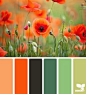 #color nature #palette