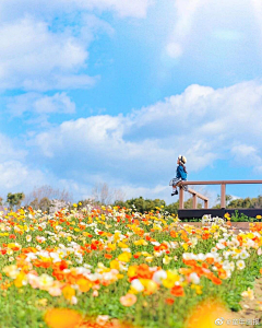 不要秃不要秃不要秃采集到景色/美景/城市/街景