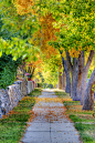 全部尺寸 | Autumn Sidewalk in HDR | Flickr - 相片分享！