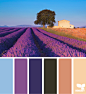 provence hues