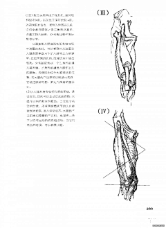 Ni懂否采集到伯里曼人体结构