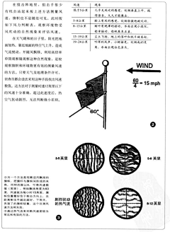 晓东的花瓣采集到绿色的遐想