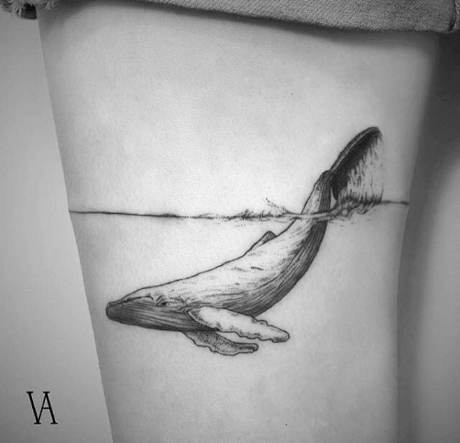 鲸鱼纹身 纹身刺青 武汉纹身 鲸鱼手稿