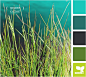 grass color