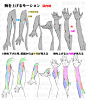 「腕の回転：回内と回外の筋肉変化と肘関節の位置変化」/「漫画素材工房」の漫画 [pixiv]
