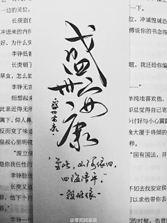 Peyson采集到「字体设计」