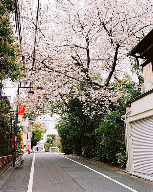 Tokyo Street Japan