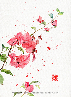 つ姜糖小时光采集到插画6（花火杂乱）