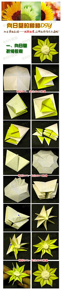 liulimeiren采集到折纸