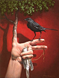 《栖息 The Perch V, 2006》by 史蒂文·肯尼（Steven Kenny，1962 - ），美国画家。童年时期的森林探险，神秘主义的天主教信仰，和对伟大罗马杰作的研究，对他的作品产生了深刻影响。