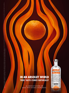 MonIris采集到BRAND / ABSOLUT