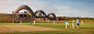 vaulted pavilion at rwanda cricket stadium mimics the movement of a bouncing ball