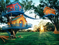 tree houses  - how cool