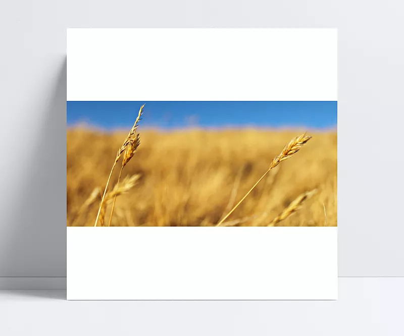 47ae2140c73d57b11f2c78b9ee7883551cca78ed32a6-rKCRuo