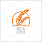 稻,矢量,概念,非凡的,溢价,品质,农业,清新,背景分离,食品