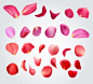 27款玫瑰花瓣设计矢量素材，素材格式：AI，素材关键词：玫瑰花,花瓣