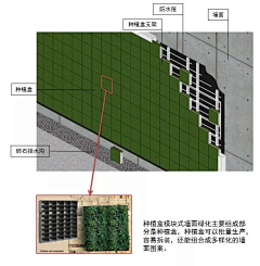 悠舞空灵采集到植物墙