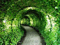 green tunnel: 