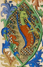 medieval dragon: 