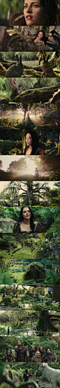 白雪公主与猎人 Snow White and the Huntsman 2012