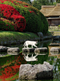 thekimonogallery:

Okayama Korakuen Garden, Japan: photo by Kaz Watanabe