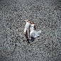 飞视界丨航拍婚纱照 在地中海塞浦路斯记录下自己的爱情